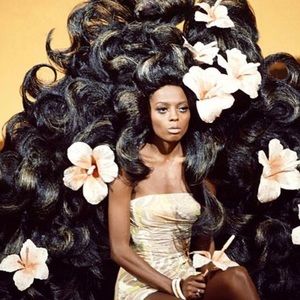 Meet your Posher, Daisy